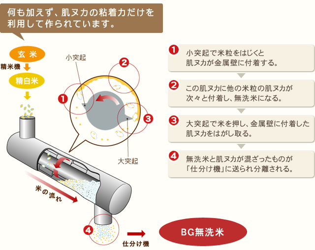 無洗米ができるまで 製法 とがずに炊けるBG無洗米なら日本ブライス株式会社